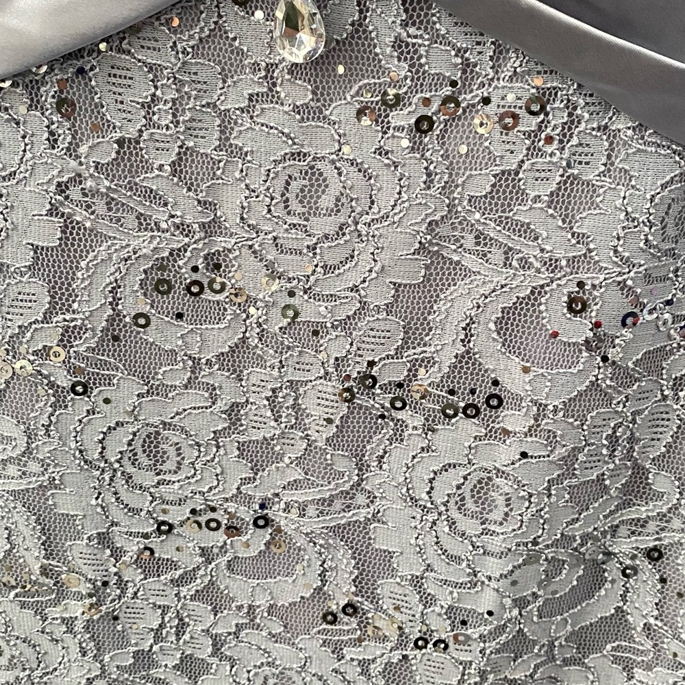 Mother of the Bride Silver Gray Dress - Picture 4 of 5